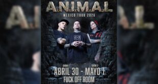 ANIMAL CDMX 2026 FT